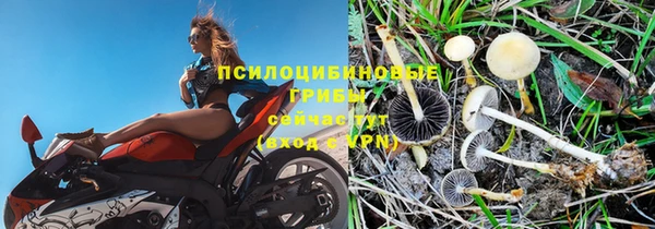 дурь Абдулино